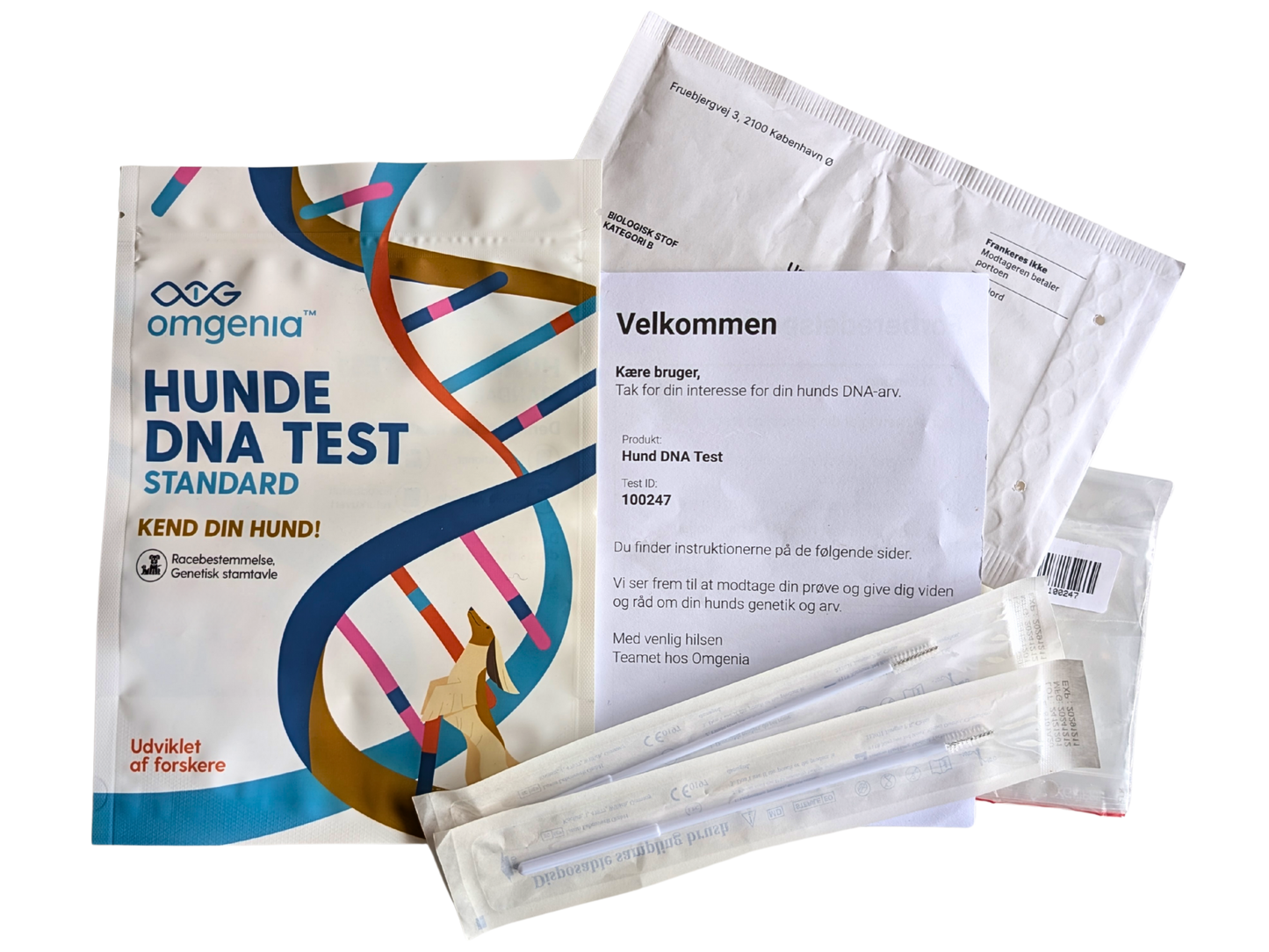 Hunde DNA test - STANDARD